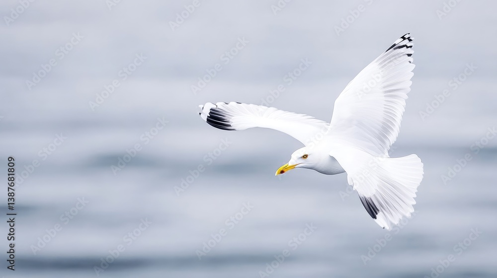 Fototapeta premium A seagull soaring above the ocean. A beautiful white seagull with outstretched wings glides effortlessly through the sky, against a soft, hazy backdrop of light grey ocean waves