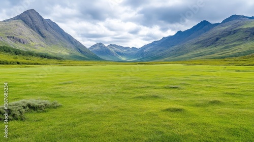 Vast green meadow nestled between towering mountains under a cloudy sky