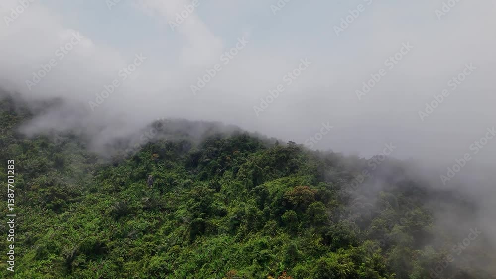 flying along the top of the mountains through the fog towards Hai Von Pass flying along the top of the mountains through the fog towards Hai Von Pass