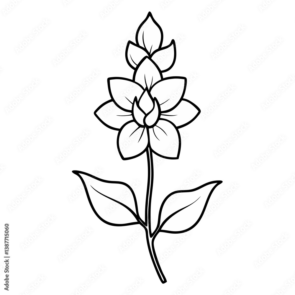 Fototapeta premium Delphinium Flower Coloring Book Page Line Art Drawing