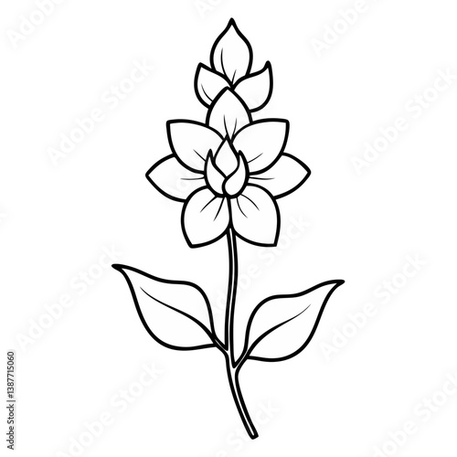Delphinium Flower Coloring Book Page Line Art Drawing