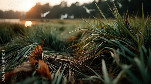 A vibrant landscape with tall grasses gently swaying in the breeze at sunset, capturing the serene beauty of nature and the peaceful moments of dusk.