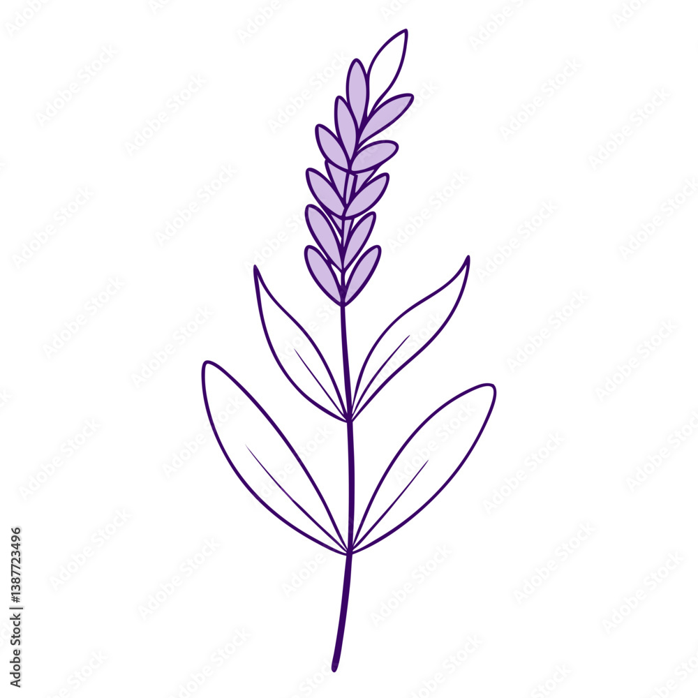 Obraz premium Lavender Flower Coloring Book Page – Elegant Line Art Drawing for Relaxation