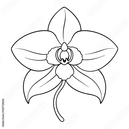 Orchid Flower Coloring Book Page Line Art Drawing