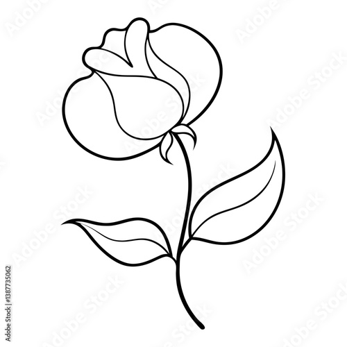Sweet Pea Flower Coloring Book Page Line Art Drawing