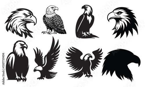 Eagle sitting on tree branch, Eagle Vector illustration 