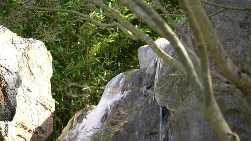 A rock with a small stream of water running down it. The rock is surrounded by green leaves