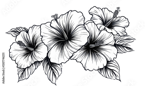 Vintage Hibiscus Flowers in Woodcut Engraving Minimalist Vector Art for Botanical Designs