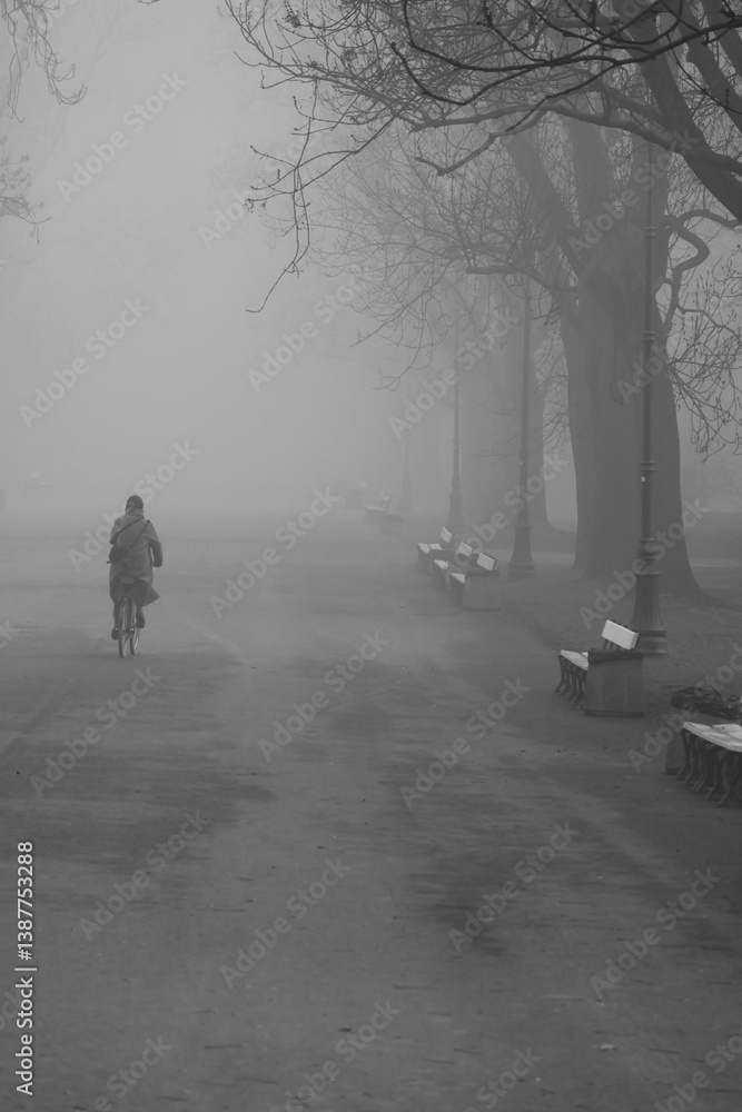 A cyclist rides through a foggy park