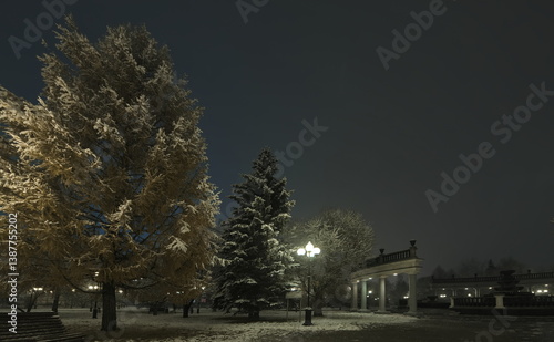 Novokuznetsk, Russia. November 01, 2024. Trees near the colonnade of the Yuri Gagarin City Park, covered with the first autumn snow and illuminated by lanterns of cold light.