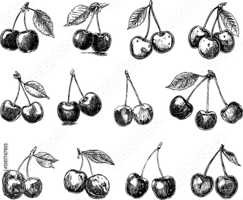 A set of cherry vector illustration isolated on a white background.