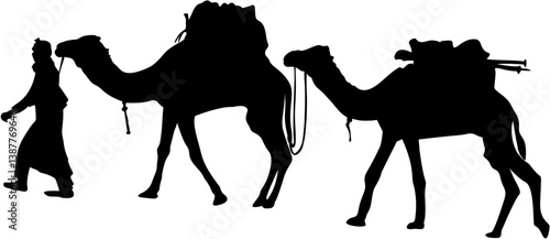 Baby Camel Realistic Silhouette Black Eps Vector Illustration
