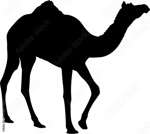 Baby Camel Realistic Silhouette Black Eps Vector Illustration