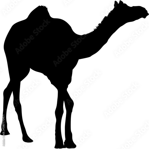 Baby Camel Realistic Silhouette Black Eps Vector Illustration