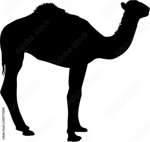 Baby Camel Realistic Silhouette Black Eps Vector Illustration