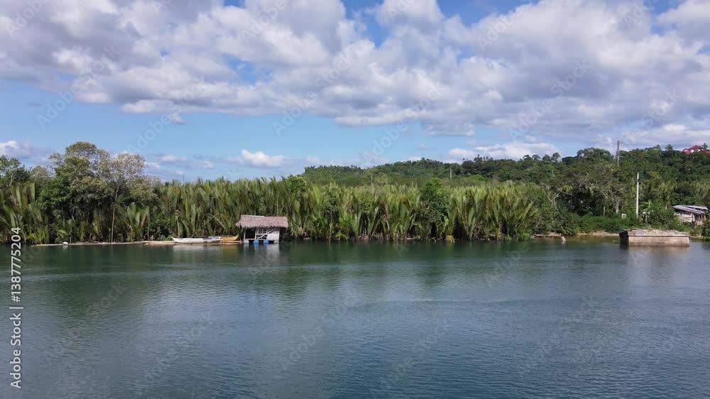 scenic drone view of the tropical island River, Abatan River, Bohol, Philippines scenic drone view of the tropical island River, Abatan River, Bohol, Philippines