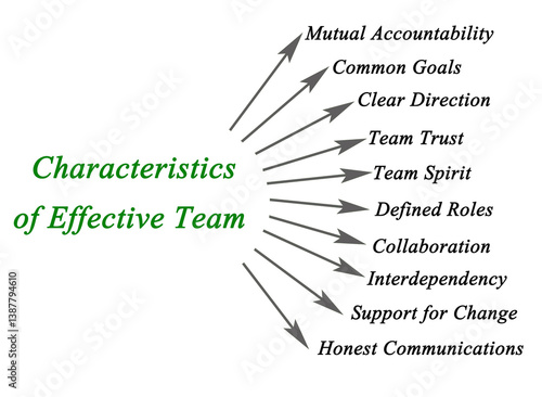 Ten Characteristics of Effective Team