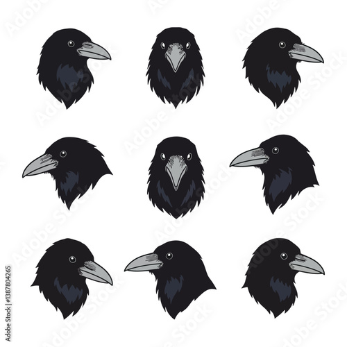 "Raven Realms: Nine Captivating Perspectives of Avian Majesty"