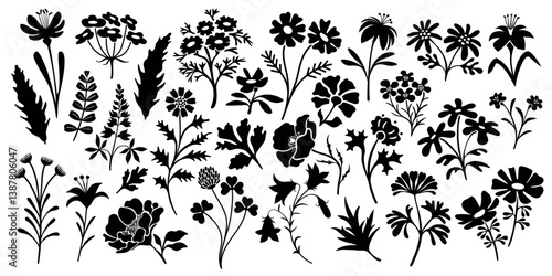 Set of flower and leaves silhouettes. Hand drawn floral design elements. Black and white outlines of wild and garden flowers and leaves isolated on white background.