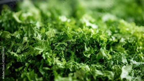 Fresh, vibrant greens fill the frame, showcasing a close-up view of textured leafy vegetables, highlighting their rich color and crispness.