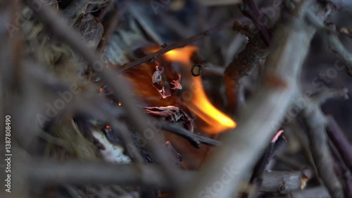 Combustion paper in a pile of dry branches. Combustion branches