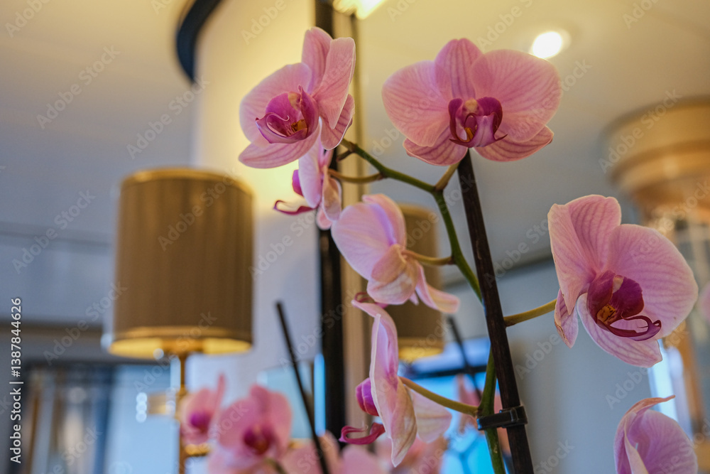 Luxurious ocean view or oceanview or outside balcony veranda cabin stateroom suite queen king double bed on luxury ocean liner cruiseship cruise ship in classic classy interior Art Deco style design