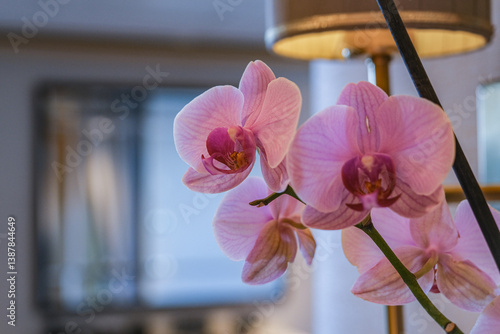 Obraz na płótnie Luxurious ocean view or oceanview or outside balcony veranda cabin stateroom suite queen king double bed on luxury ocean liner cruiseship cruise ship in classic classy interior Art Deco style design w salonie