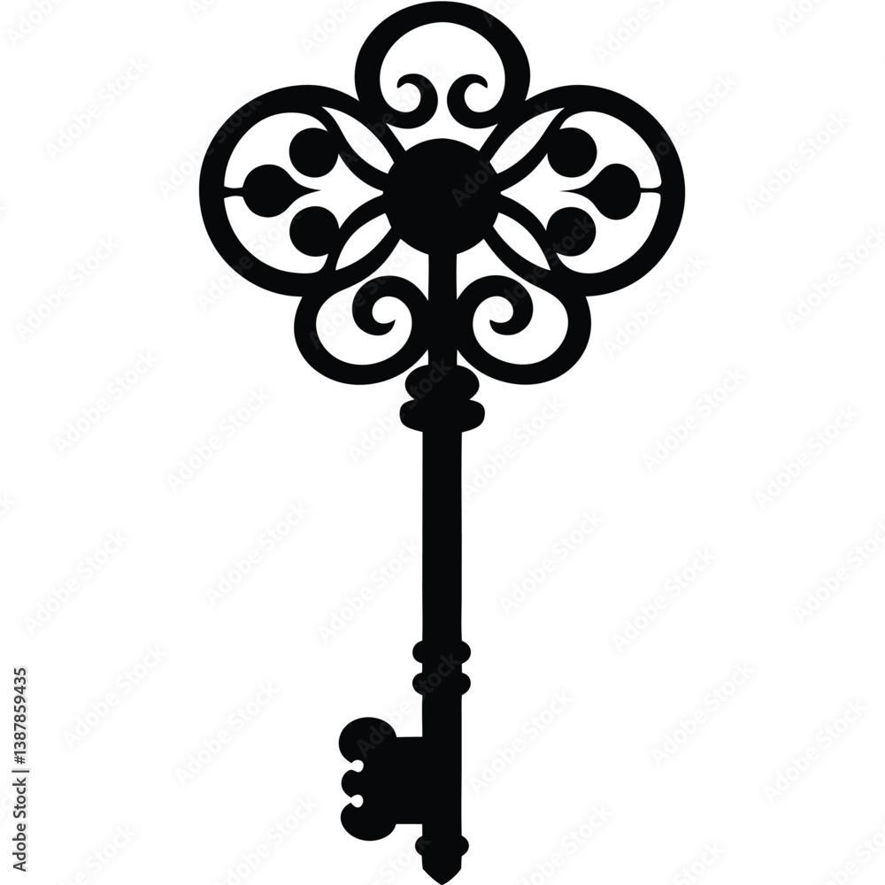 Obraz premium vintage key isolated on white background