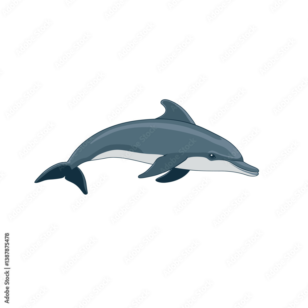 Obraz premium dolphin isolated on white background