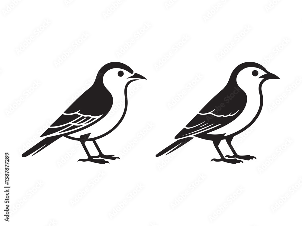 Fototapeta premium black-and-white vector illustration of two birds standing on the ground