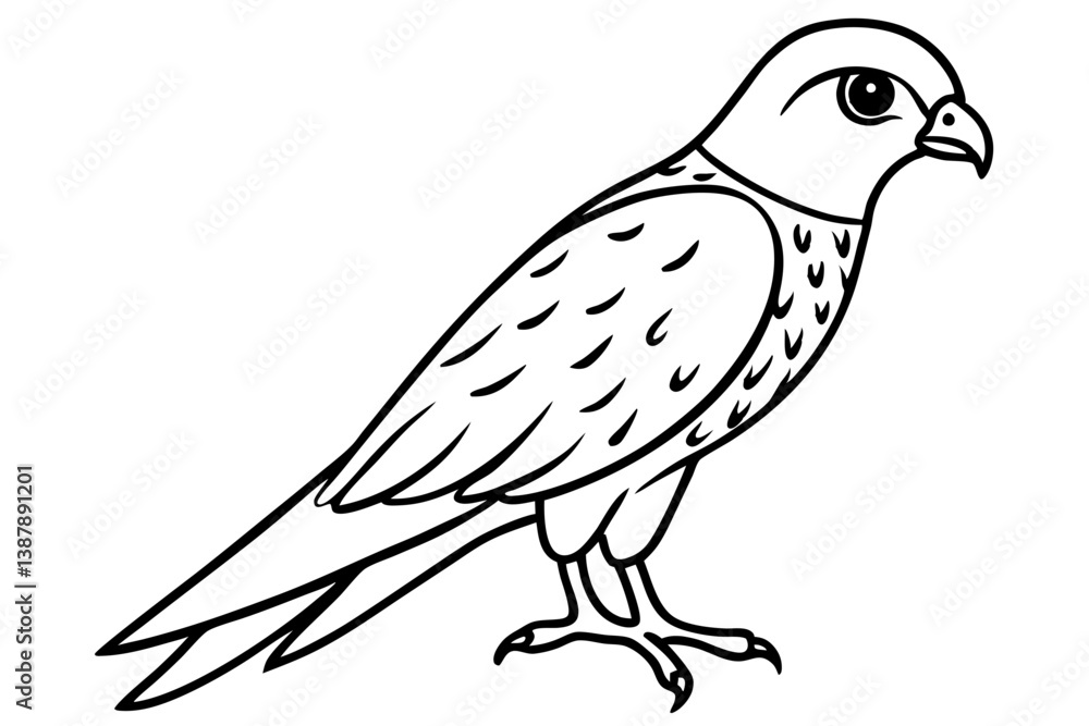 Kestrel Minimalist Line Art Kestrel Minimalist Line Art
