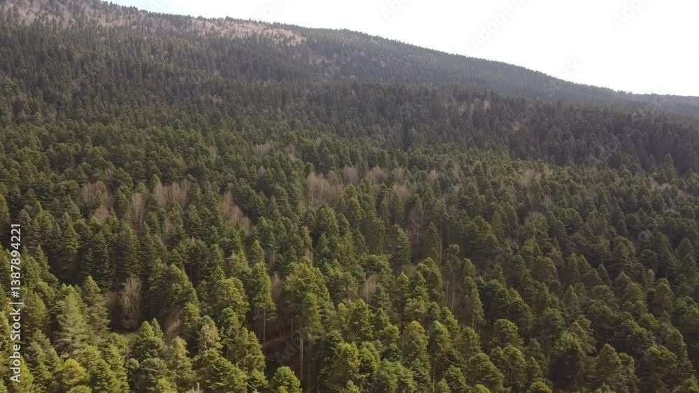 Bolu Gölcük Milli Parkı Bolu Gölcük Milli Parkı