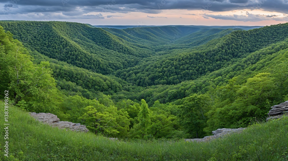 Naklejka premium Overlook View of Lush Green Forested Valley Under Cloudy Sky