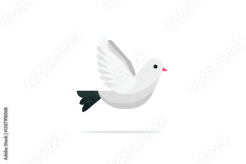 white dove isolated on white