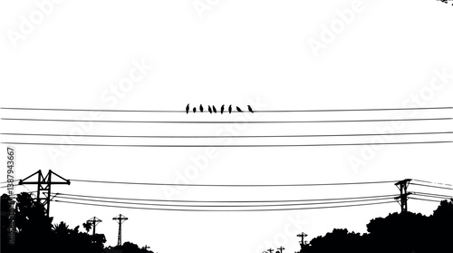 Outline illustration of an overhead power line with birds