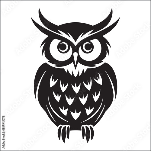 owl, night bird, nocturnal bird 