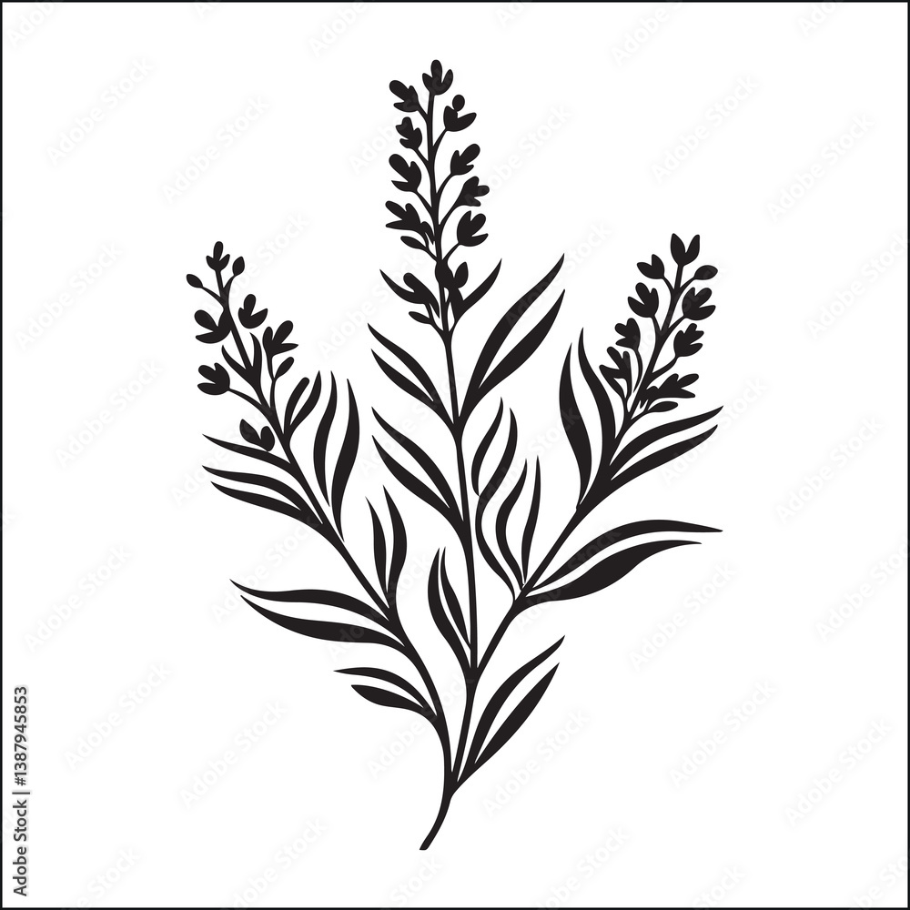 Naklejka premium lavender herb stem silhouette, Lavender species