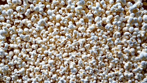 The Popcorn Snack Delight