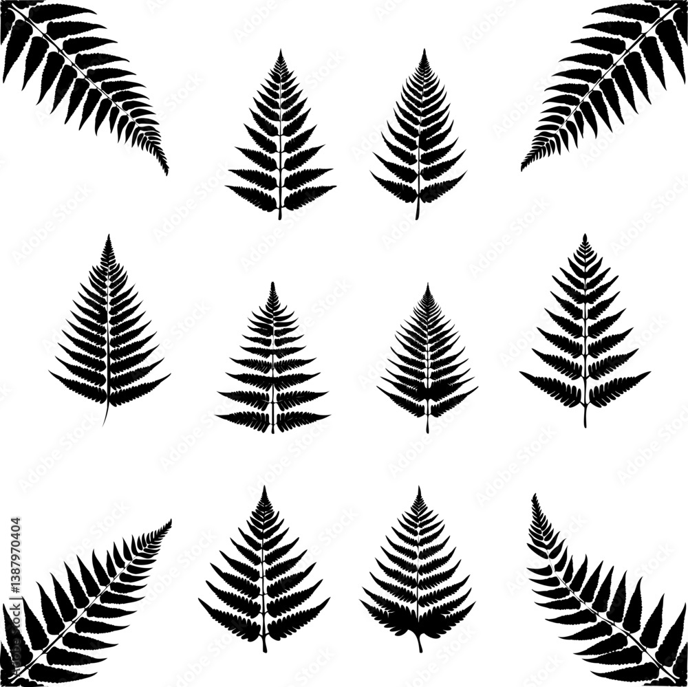 Fototapeta premium fern leaves silhouette collection decorative elements illustration