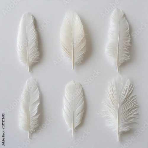 Plumas blancas decorativas