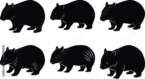 Wombat Silhouette vector
