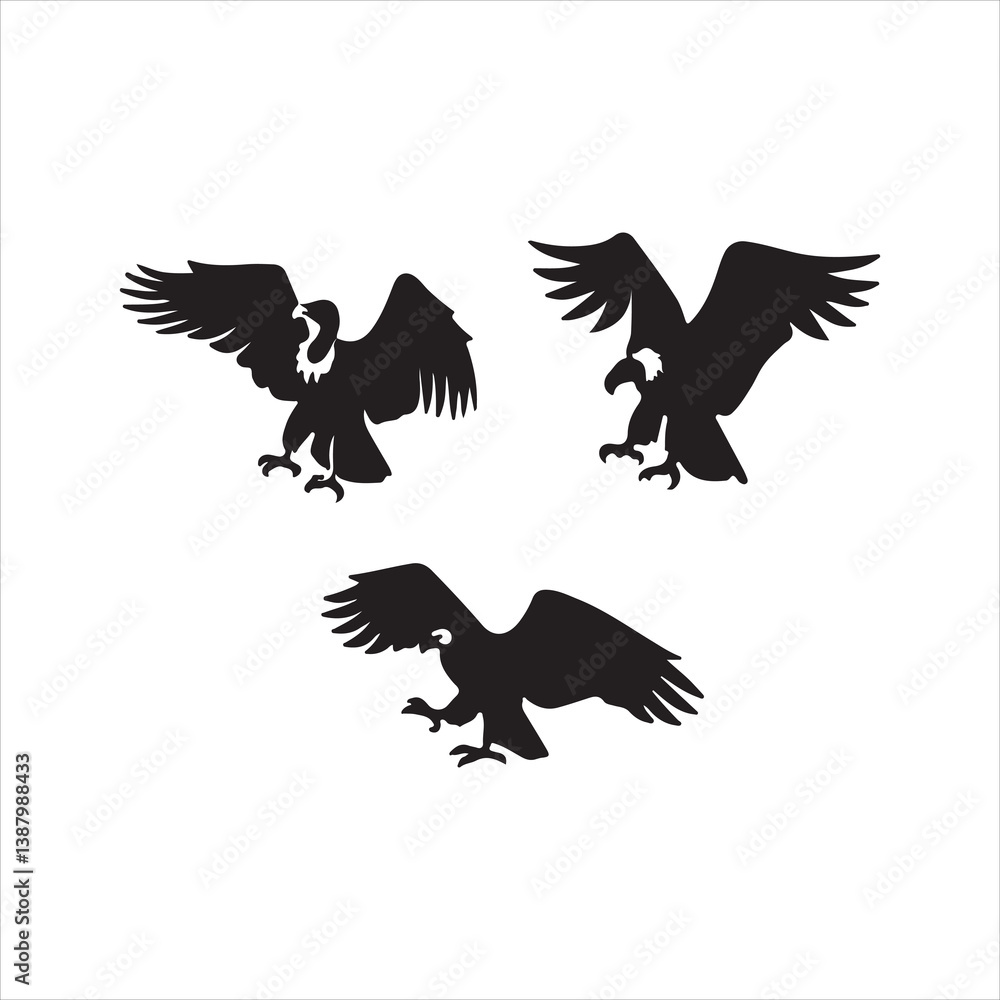 Obraz premium eagle in flight