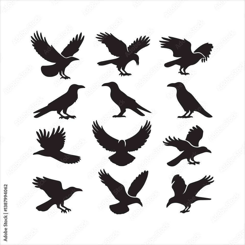 Obraz premium set of birds