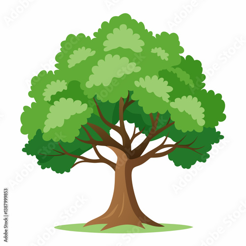 green tree isolated on white