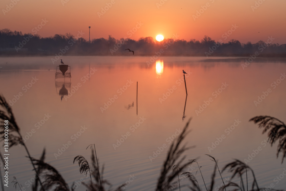 Obraz premium Wiosenny wschód słońca w Goczałkowice Zdrój. 