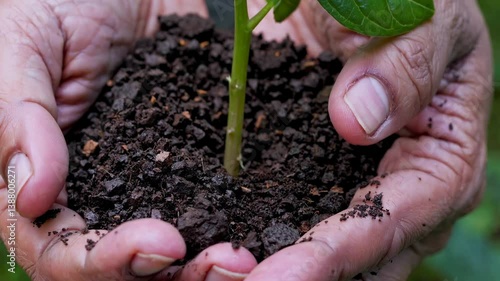 The Hands Holding Soil