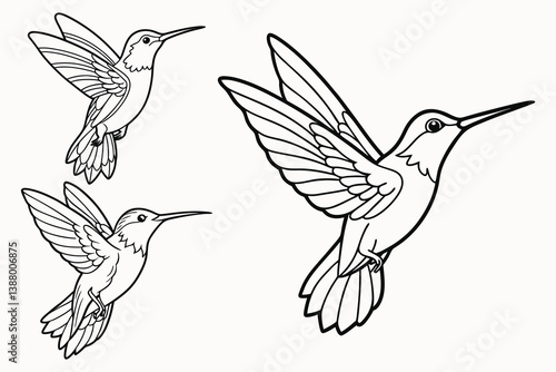 Humming bird outline vector isolated on white background.