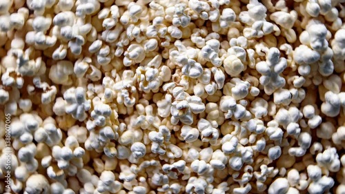 The Popcorn Bowl Delight