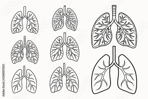 Set of human lungs outline vector illustration isolated on white background.