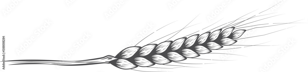 Obraz premium Wheat ear. Isolated wheat ear black outline on white background.